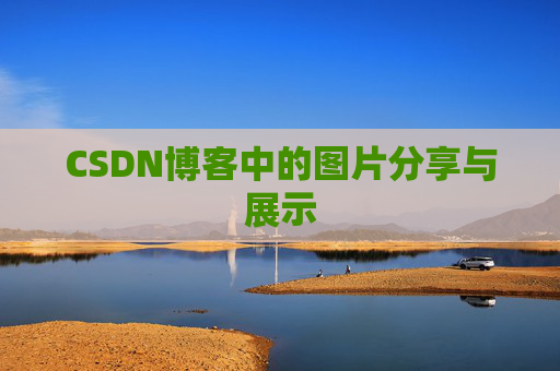 CSDN博客中的图片分享与展示